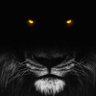 Nabil .fg's profile picture