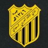الاتحاد ( 🐅)🙏💛's profile picture
