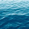 r lazuli profil fotoğrafı