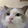 Alex's profile picture