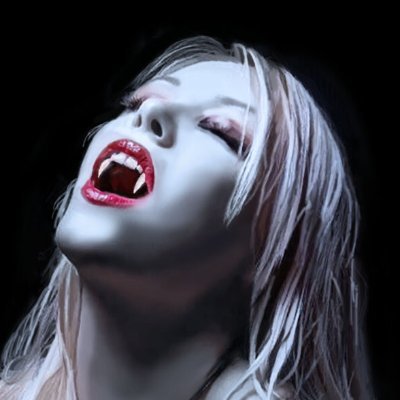 zako_melt's profile picture
