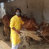Фото профиля Manishkumar.M.Gajjela ( Nitin shukla परिवार )