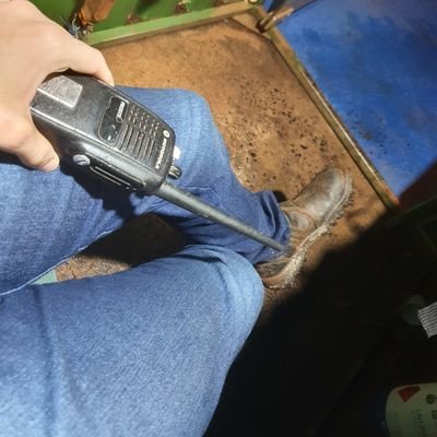 peão's profile picture