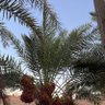 Фото профиля ورد الطبيعة 🌹💐🌺🌼