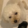 crystal's profile picture