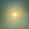 سارونة's profile picture