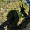 çµ è¡£ profil fotoÄrafı