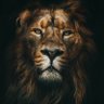 Bato'O profil fotoğrafı