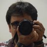 Josep-Menoyo's profile picture