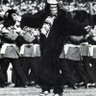 FC Monkey profil fotoğrafı