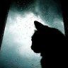NouRi Dv's profile picture