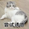 扯 profil fotoğrafı