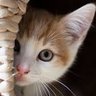 nooor profil fotoğrafı