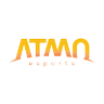ATMO Esports's profile picture