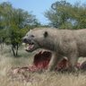 Megistotherium 的头像