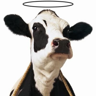 .'s profile picture