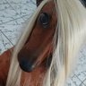 Profilbild von felps