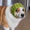 kay's profile picture