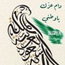 Profilbild von ahmad al-roheemi