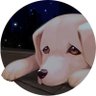 Bangkok Story: A Stray Dog | DEMO On Steam 的头像