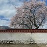 Profilbild von Julia_youknow