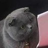 tbrs.'s profile picture