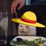 𝐒𝒖𝐤𝐚's profile picture