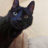 Alicja G. profil fotoğrafı