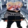 Fellatu 🇺🇸🇺🇦🇹🇼🇮🇱🇪🇺🇰🇷🇯🇵🇵🇭🇦🇺's profile picture