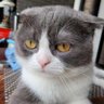 myear profil fotoğrafı
