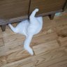 たっつぁん profil fotoğrafı
