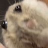 Profilbild von Marche