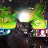 c00kie profil fotoğrafı