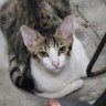 ペヤング's profile picture