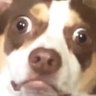 Profilbild von Уявний друг