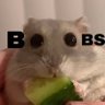 Rhys Roberts's profile picture