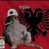 Karma's profile picture