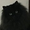 Фото профиля なお