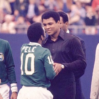 Hanif Ben Berkane's profile picture