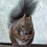 cheesecakeはお好き?'s profile picture