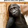 Фото профиля Florentino Ariza