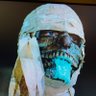 andrew t morgan's profile picture