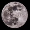 Фото профиля 13th FullMoon