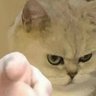ECT9's profile picture