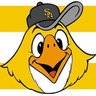 Joshy 野球好き⚾️🦅もっと! profil fotoğrafı