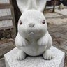 セレスタ 的头像