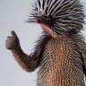 Maciej's profile picture