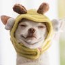 Sunshine's profile picture