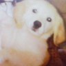 みみ's profile picture