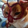 おばび's profile picture